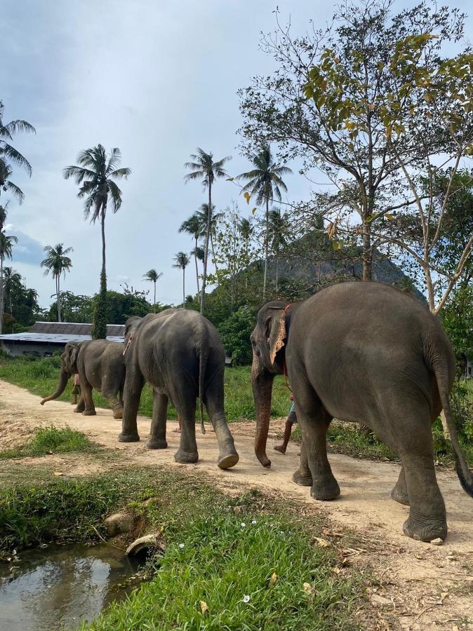 Amadha Villas Retreat - Free Tuk-Tuk Service To The Beach Ao Nang Exterior foto